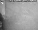 Capi_Dubne_20250423_033002.jpg