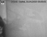 Capi_Dubne_20250423_033502.jpg