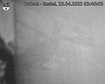 Capi_Dubne_20250423_034003.jpg