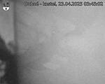 Capi_Dubne_20250423_034502.jpg