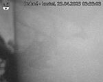 Capi_Dubne_20250423_035503.jpg