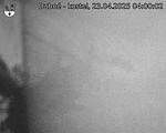 Capi_Dubne_20250423_040002.jpg