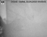 Capi_Dubne_20250423_040502.jpg