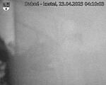 Capi_Dubne_20250423_041003.jpg