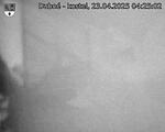 Capi_Dubne_20250423_042502.jpg