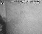 Capi_Dubne_20250423_044002.jpg