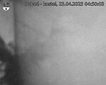 Capi_Dubne_20250423_045003.jpg