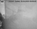Capi_Dubne_20250423_050003.jpg