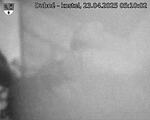 Capi_Dubne_20250423_051002.jpg