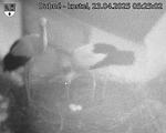 Capi_Dubne_20250423_052503.jpg