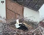 Capi_Dubne_20250423_060002.jpg