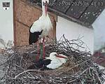 Capi_Dubne_20250423_064003.jpg