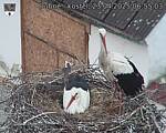 Capi_Dubne_20250423_065503.jpg