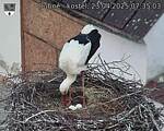 Capi_Dubne_20250423_073503.jpg