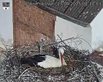 Capi_Dubne_20250423_081003.jpg