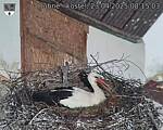 Capi_Dubne_20250423_081503.jpg
