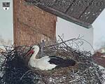 Capi_Dubne_20250423_083003.jpg