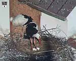 Capi_Dubne_20250423_084003.jpg