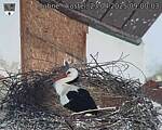 Capi_Dubne_20250423_090003.jpg
