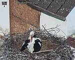Capi_Dubne_20250423_091503.jpg