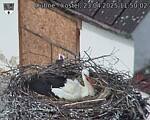 Capi_Dubne_20250423_115003.jpg