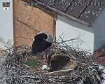 Capi_Dubne_20250423_120002.jpg