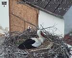 Capi_Dubne_20250423_121003.jpg
