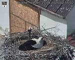 Capi_Dubne_20250423_125502.jpg