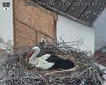 Capi_Dubne_20250423_134002.jpg