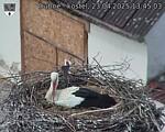Capi_Dubne_20250423_134503.jpg