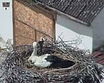 Capi_Dubne_20250423_135503.jpg