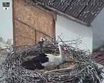Capi_Dubne_20250423_141002.jpg