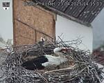 Capi_Dubne_20250423_141503.jpg