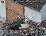Capi_Dubne_20250423_142503.jpg