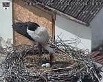 Capi_Dubne_20250423_143003.jpg