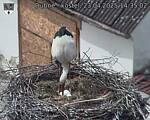 Capi_Dubne_20250423_143502.jpg