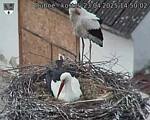 Capi_Dubne_20250423_145002.jpg