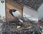 Capi_Dubne_20250423_150003.jpg