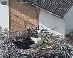 Capi_Dubne_20250423_151503.jpg