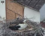 Capi_Dubne_20250423_152003.jpg