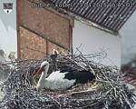 Capi_Dubne_20250423_154502.jpg