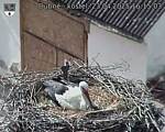 Capi_Dubne_20250423_161503.jpg