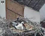 Capi_Dubne_20250423_162502.jpg