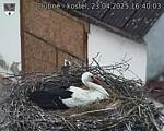 Capi_Dubne_20250423_164003.jpg