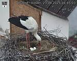 Capi_Dubne_20250423_164503.jpg