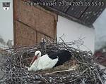 Capi_Dubne_20250423_165503.jpg