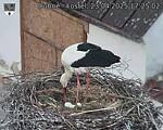 Capi_Dubne_20250423_172502.jpg