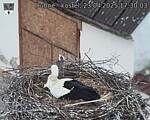 Capi_Dubne_20250423_173003.jpg