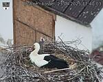 Capi_Dubne_20250423_174003.jpg