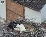 Capi_Dubne_20250423_175003.jpg